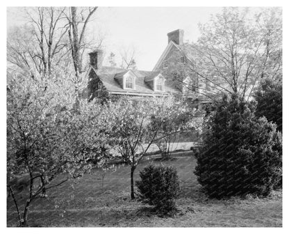 Loudoun County VA Vintage Garden Photo 20th Century