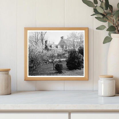 Loudoun County VA Vintage Garden Photo 20th Century
