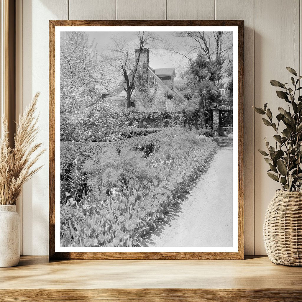 Middleburg, Virginia Vintage Photo, Early 20th Century