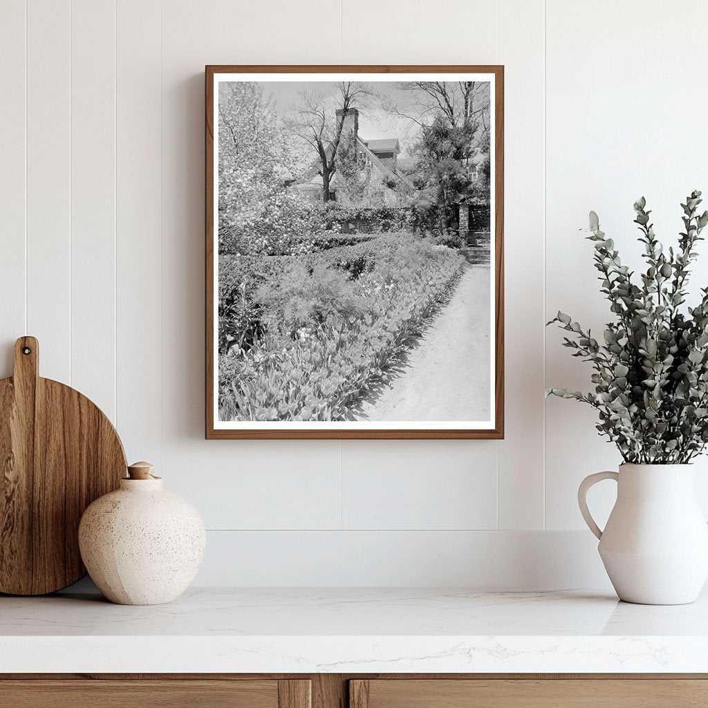 Middleburg, Virginia Vintage Photo, Early 20th Century