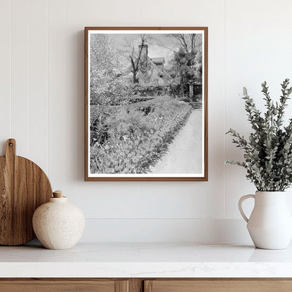 Middleburg, Virginia Vintage Photo, Early 20th Century