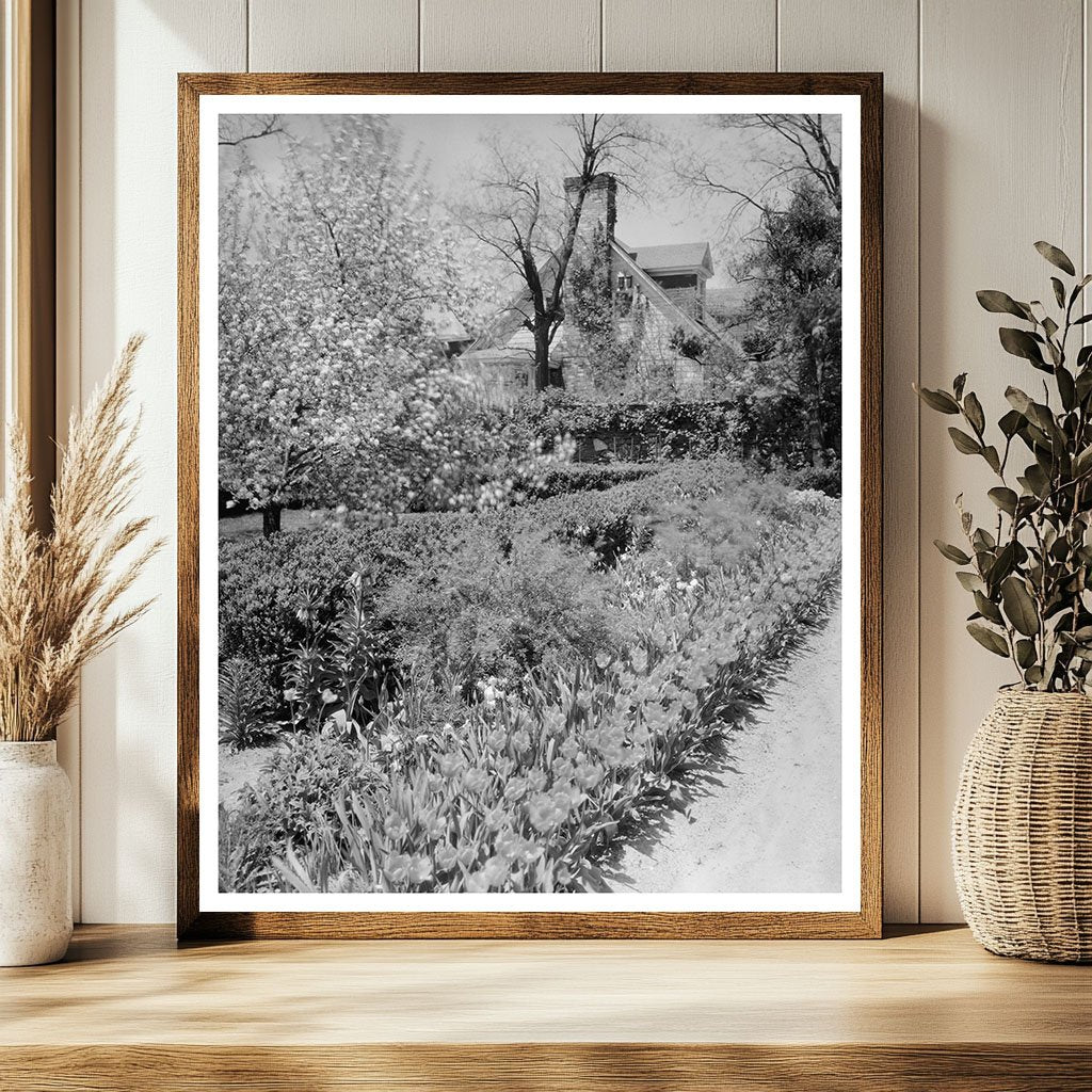 Middleburg, VA Vintage Photo from 1953 Carnegie Survey