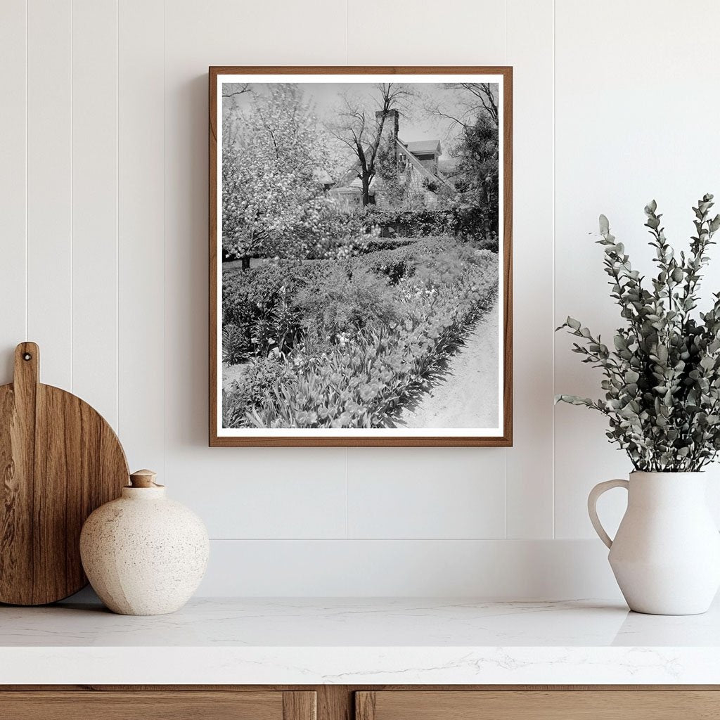 Middleburg, VA Vintage Photo from 1953 Carnegie Survey