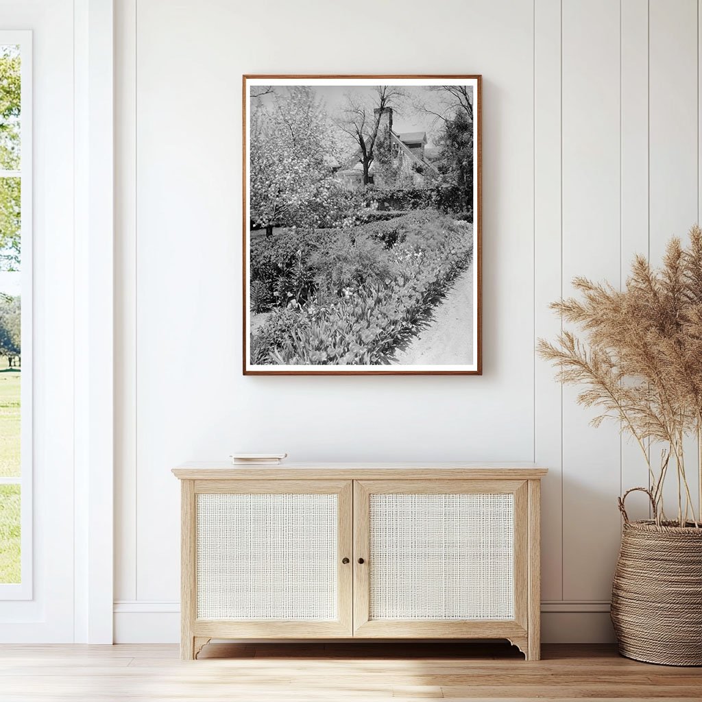 Middleburg, VA Vintage Photo from 1953 Carnegie Survey