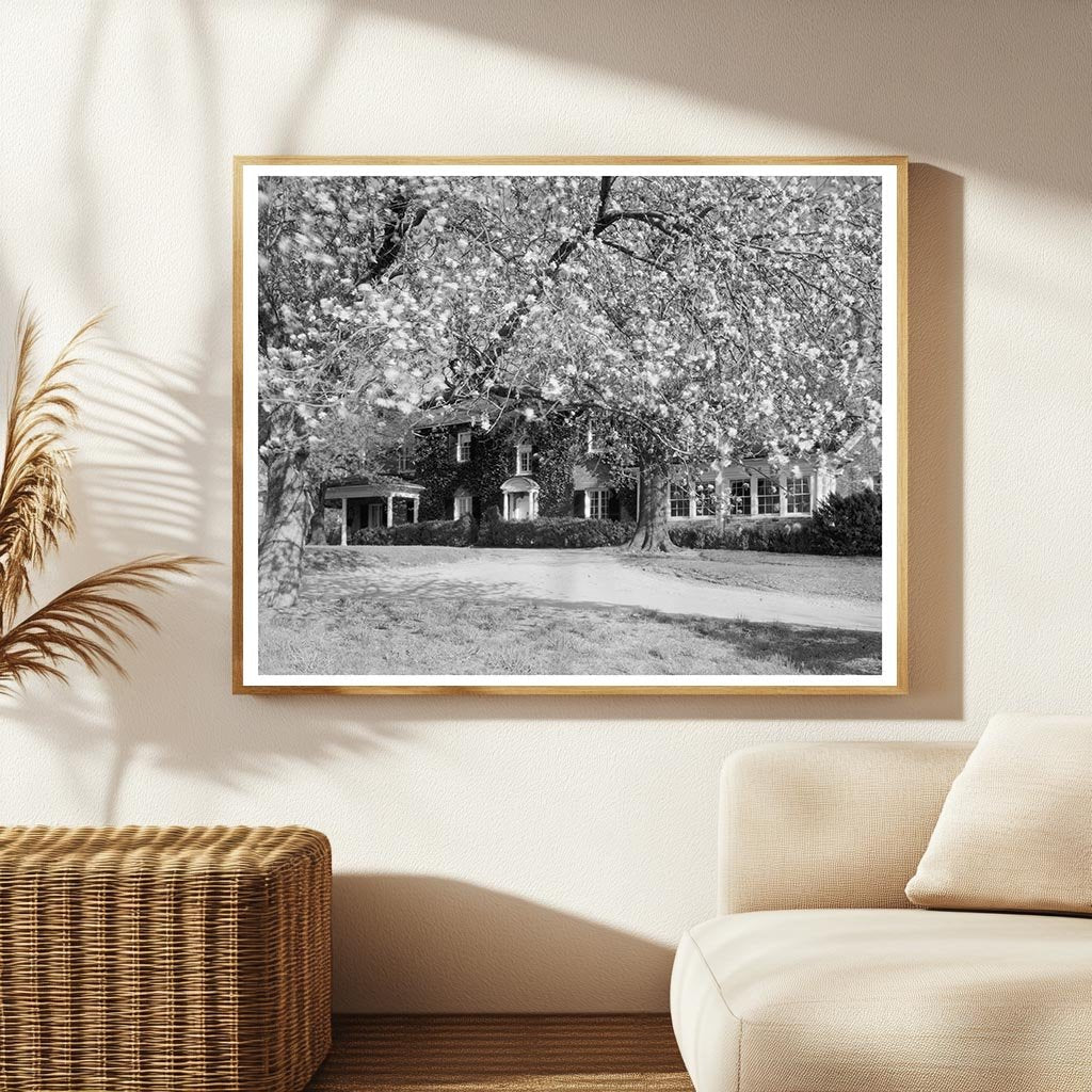 Vintage Boarding School Photo, Middleburg VA, 1953