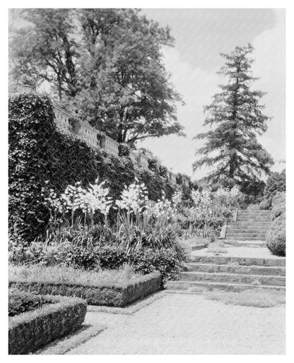 Leesburg VA Garden Estate Photograph, Early 20th Century