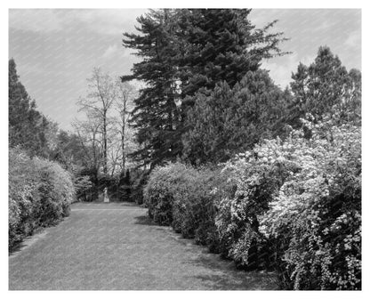 Leesburg VA Vintage Estate Photo Early 20th Century