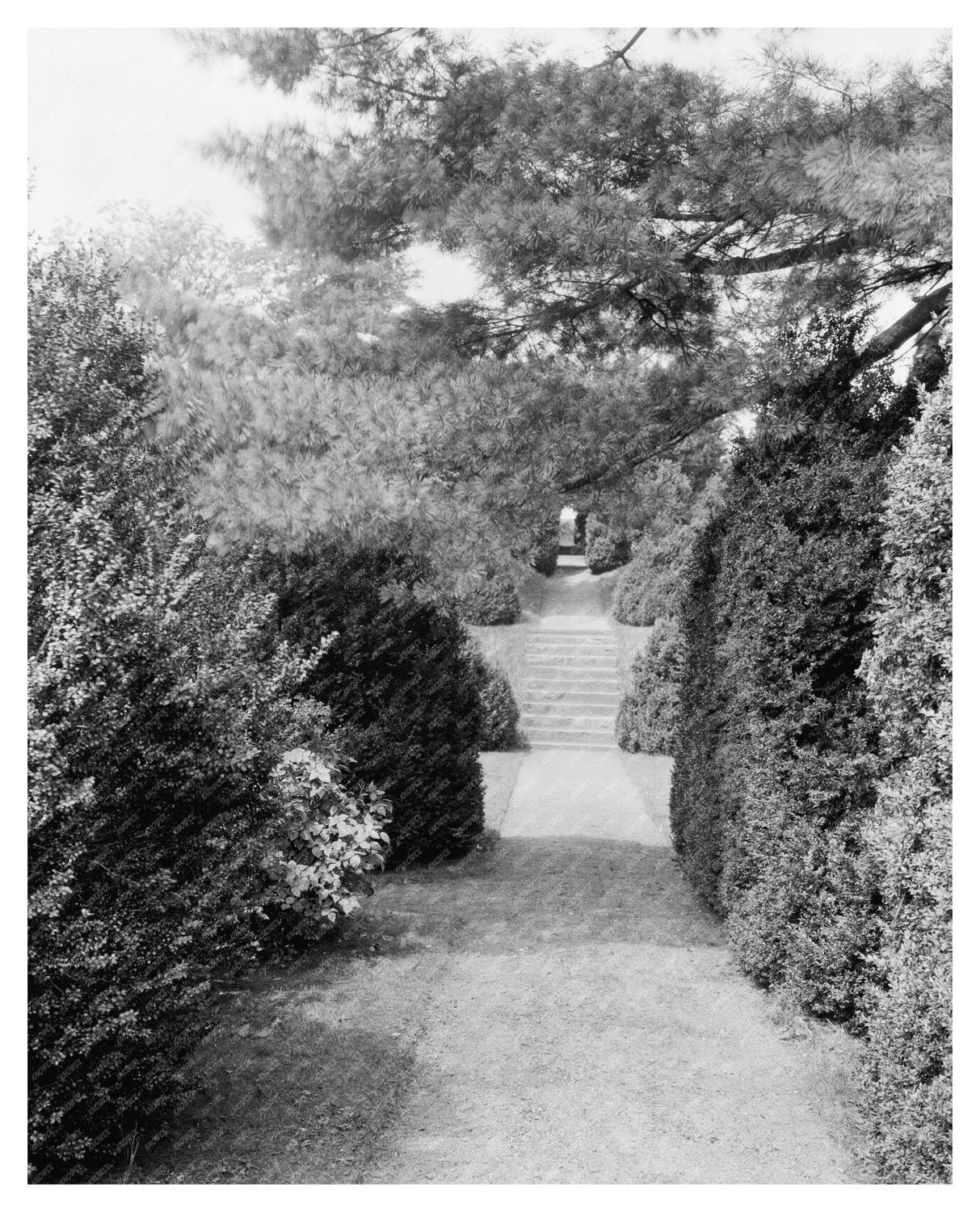 Historic Estate in Leesburg, VA - Carnegie Survey 1910