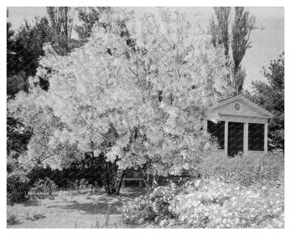Garden Scene in Warrenton, Virginia, Early 20th Century