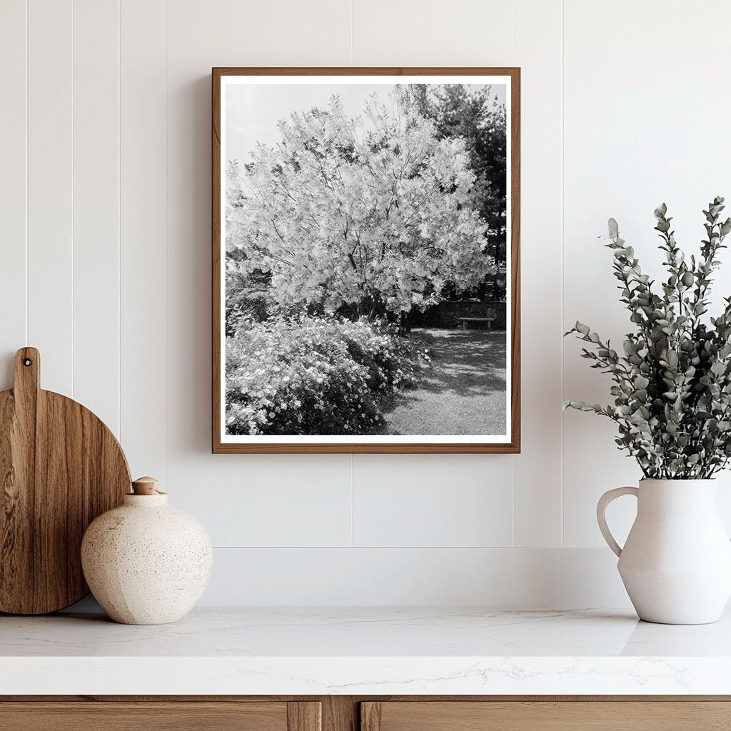 Vintage Garden Photograph, Warrenton, VA, 20th Century