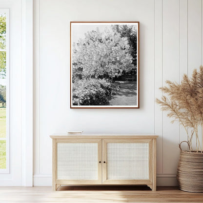 Vintage Garden Photograph, Warrenton, VA, 20th Century