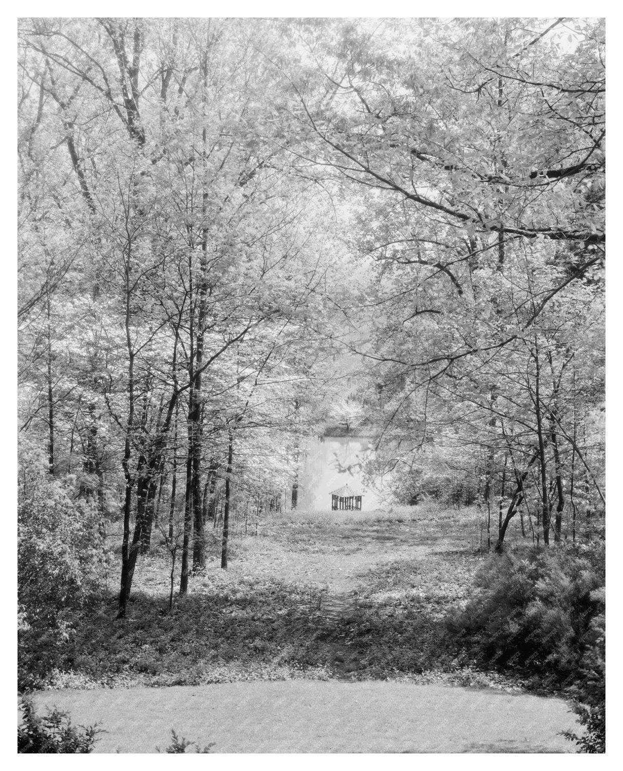 1953 Gordonsville Estate Photograph, Virginia Architecture