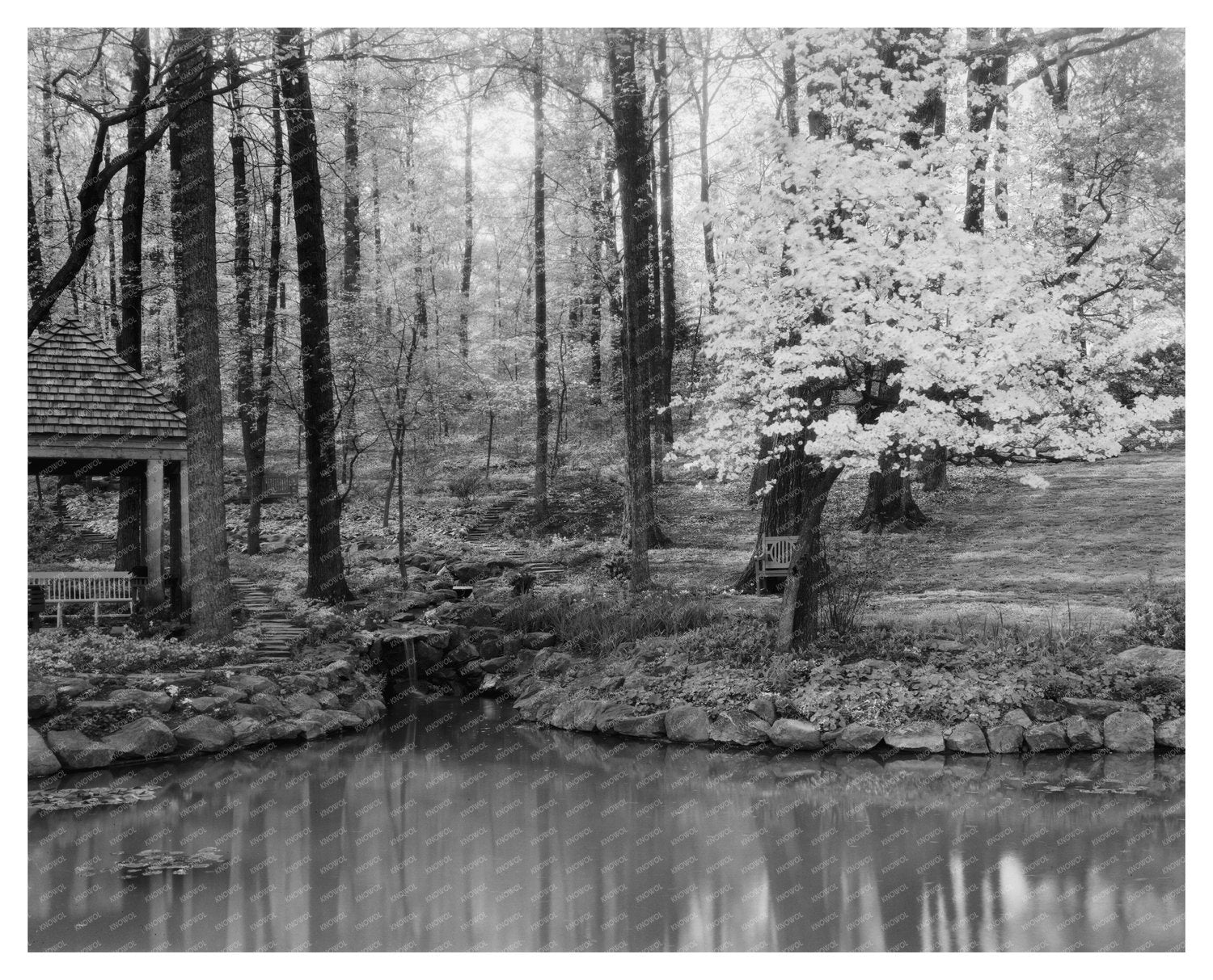 Gordonsville, VA Vintage Photo, Early 20th Century History