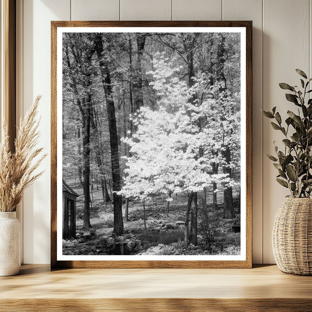 Gordonsville Estate, Virginia - Mid 20th Century Photo