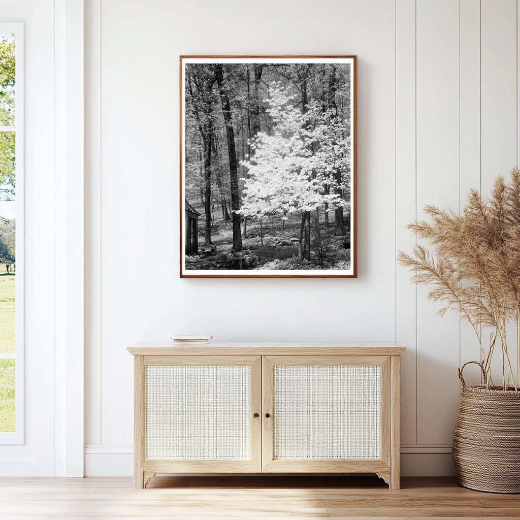 Gordonsville Estate, Virginia - Mid 20th Century Photo