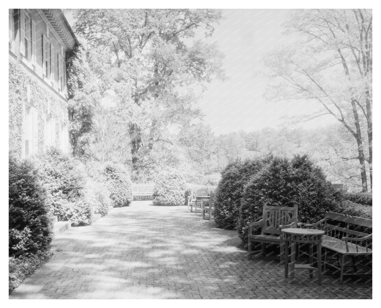 Gordonsville, VA Vintage Home Photo, 1953 Heritage Insights