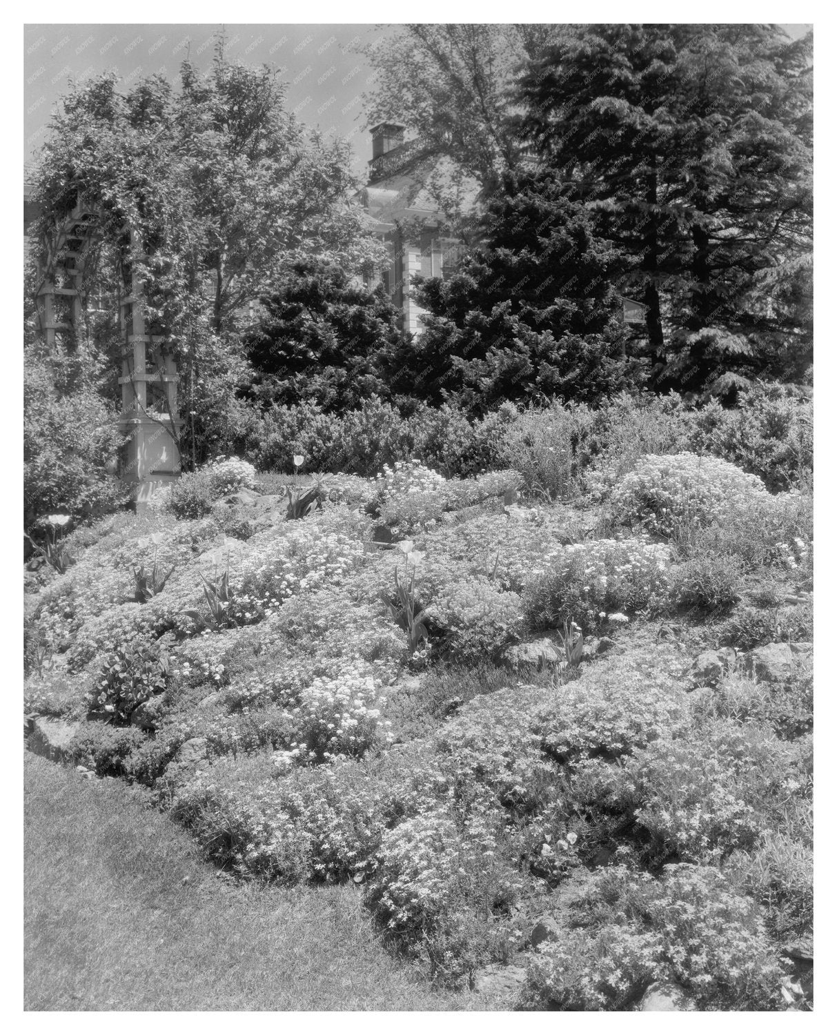 Gordonsville VA Vintage Photo from 1930s Architectural Surve