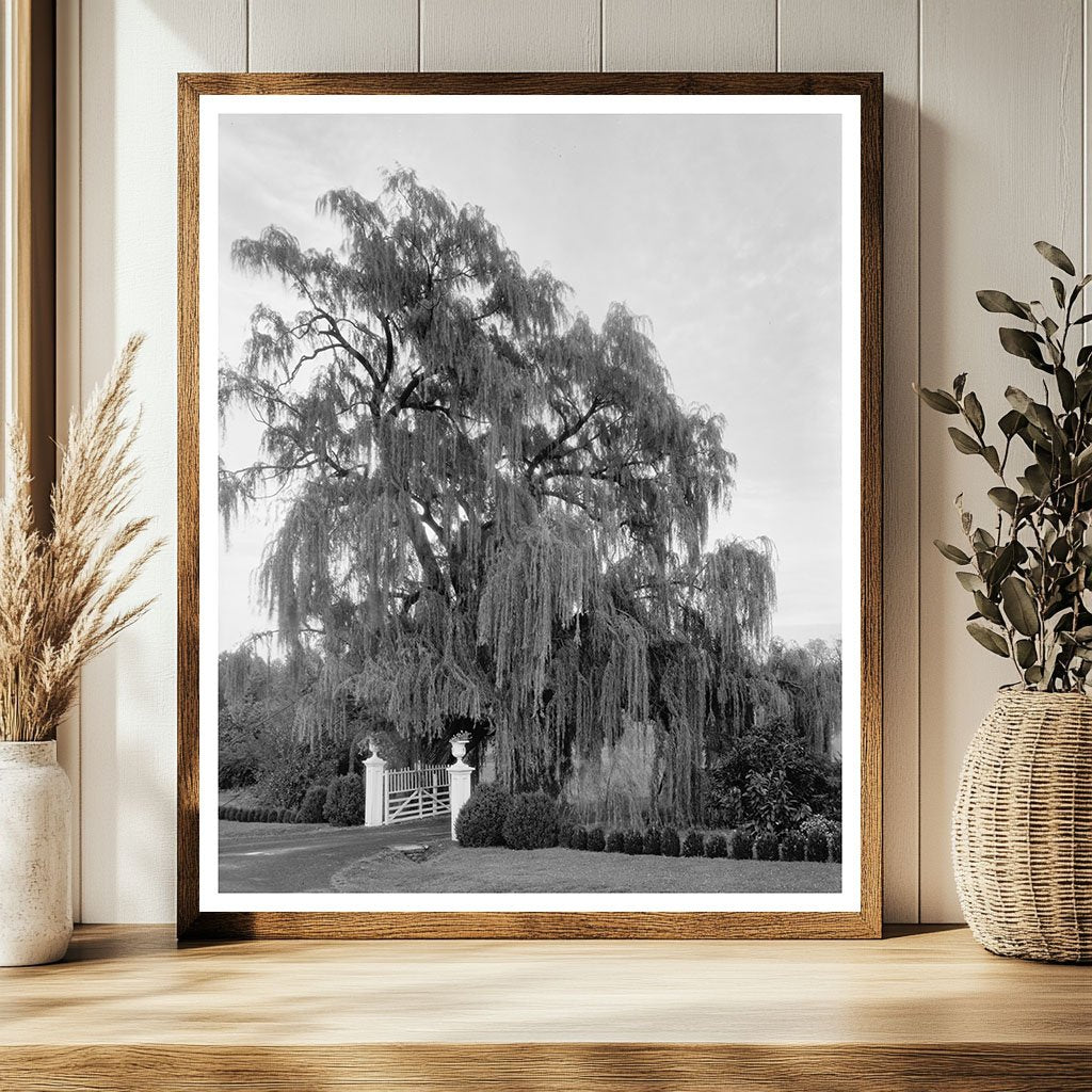 Vintage Gardens of Orange County, VA - 1760 History