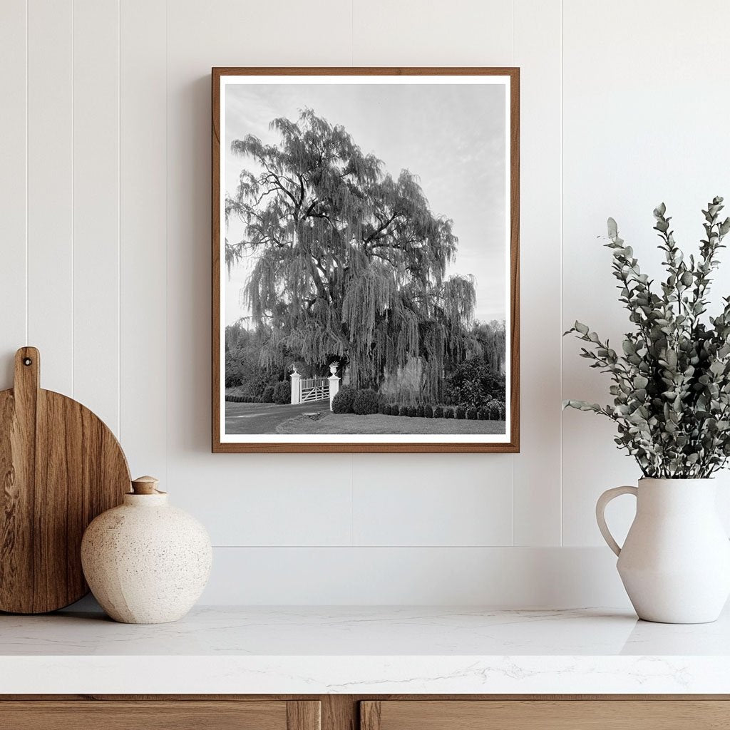 Vintage Gardens of Orange County, VA - 1760 History