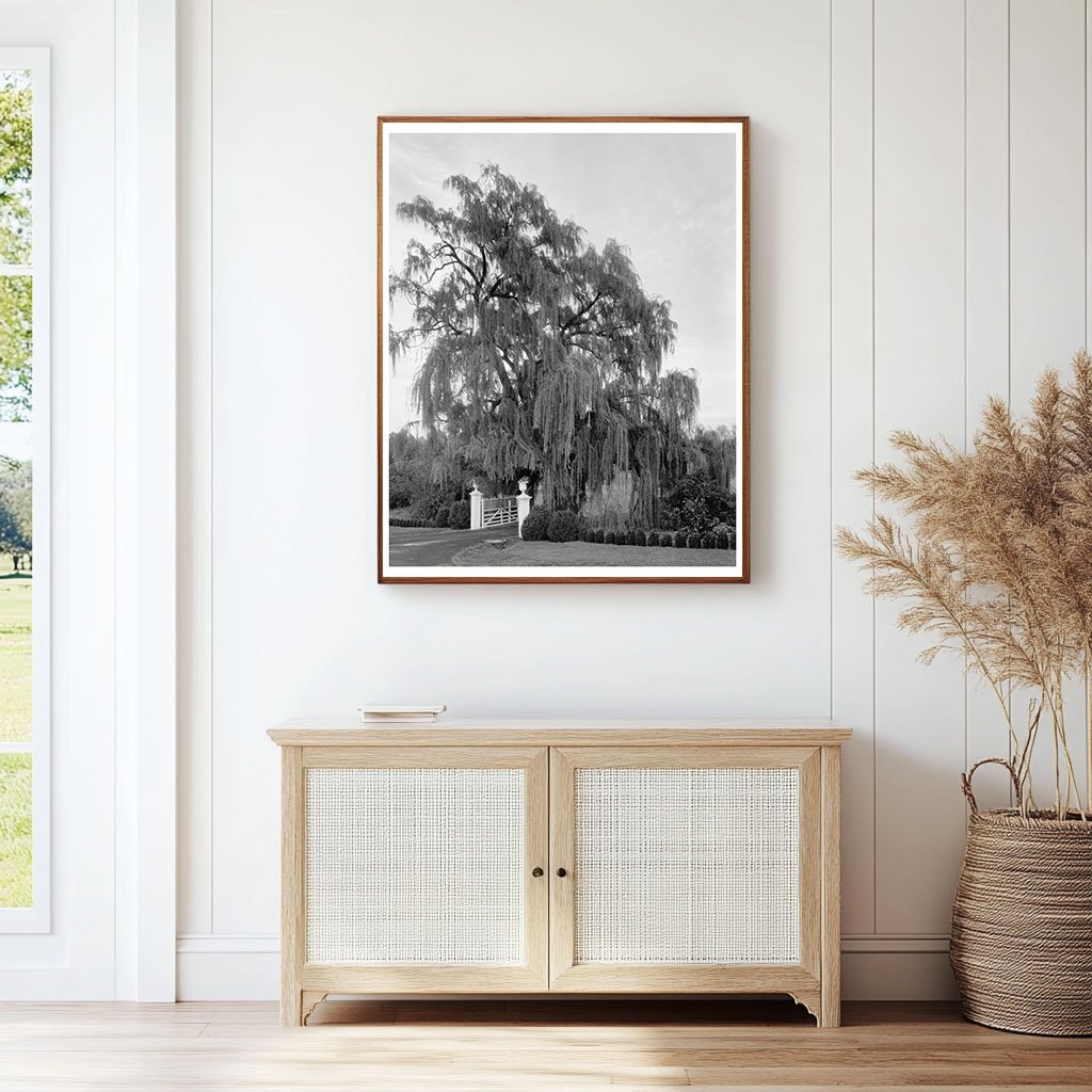 Vintage Gardens of Orange County, VA - 1760 History