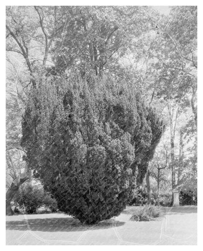 Surry VA Estate History: 1730 Architecture & Jefferson Desig