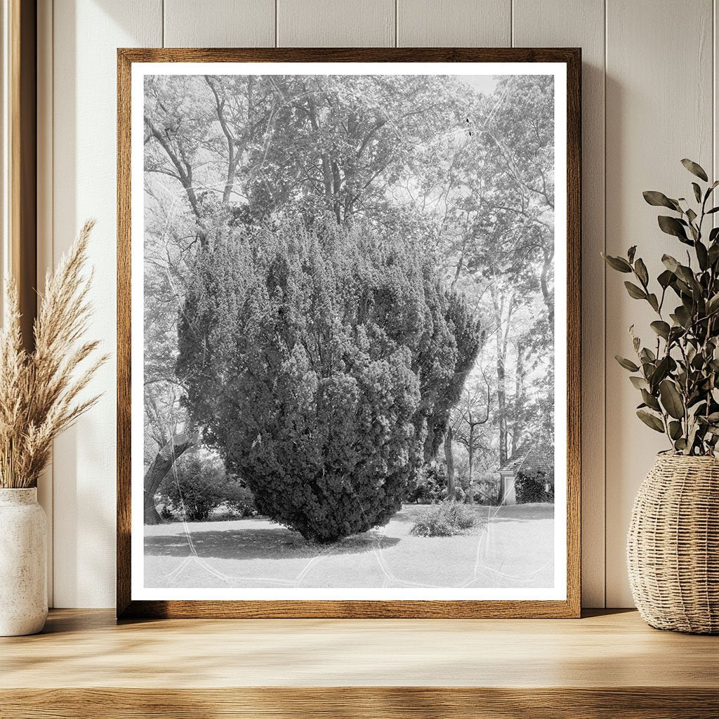 Surry VA Estate History: 1730 Architecture & Jefferson Desig