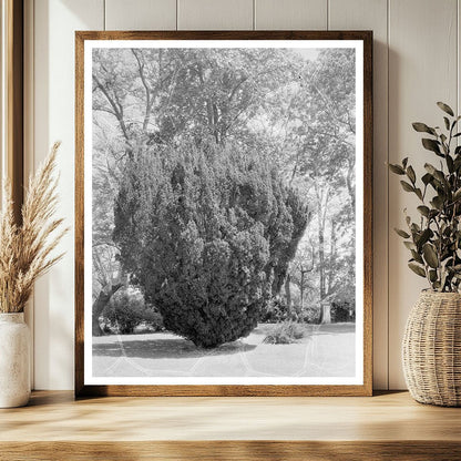 Surry VA Estate History: 1730 Architecture & Jefferson Desig