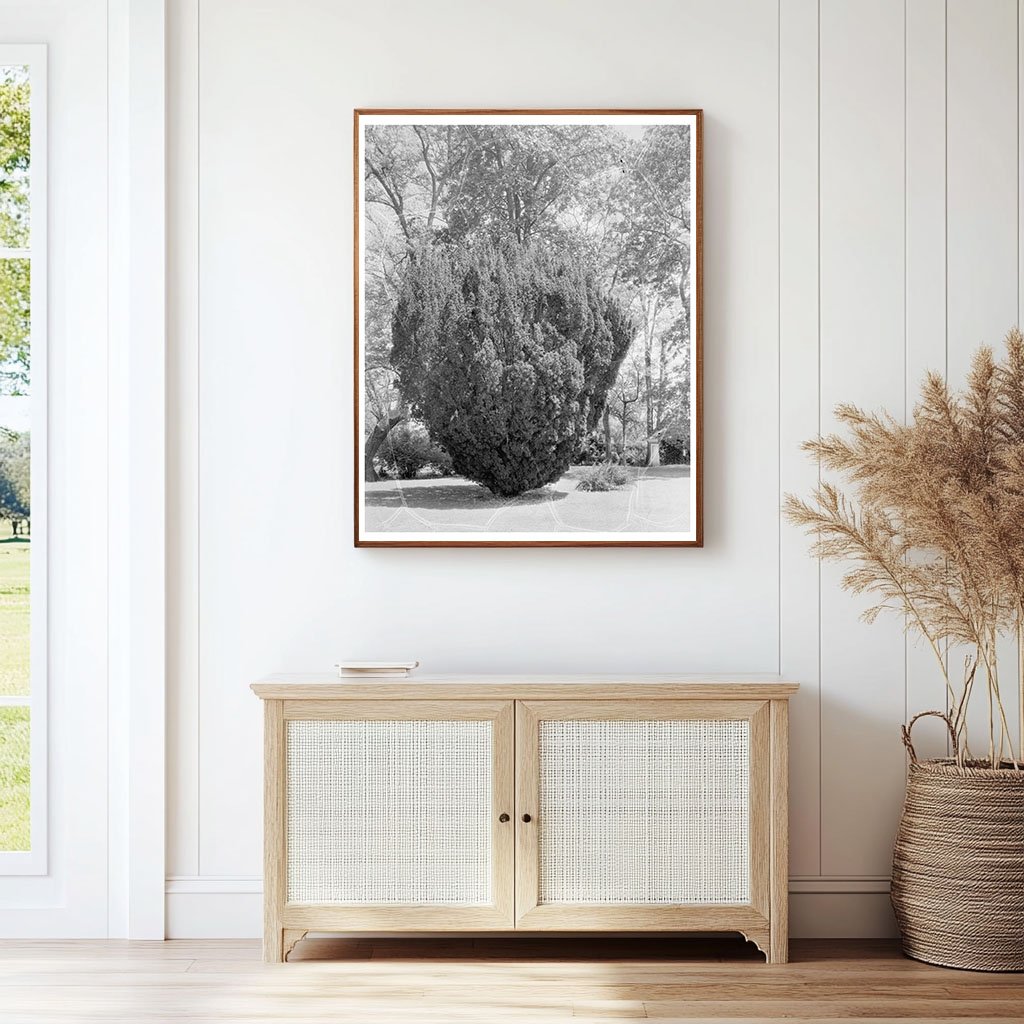 Surry VA Estate History: 1730 Architecture & Jefferson Desig