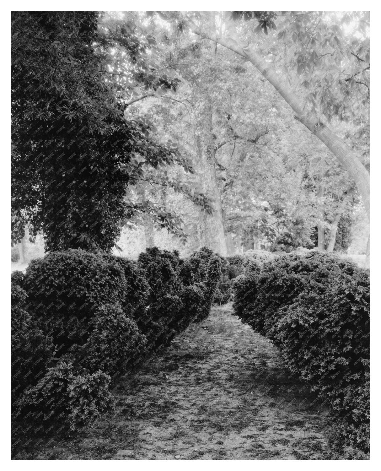 Surry Estate, Virginia 1730, Jefferson Design 1789