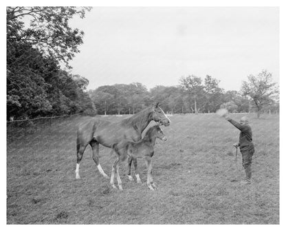 Historical Estate in Surry, Virginia, 1730-1789