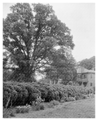 Historic Estate in Prince George County, VA - 1800s