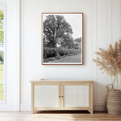 Historic Estate in Prince George County, VA - 1800s