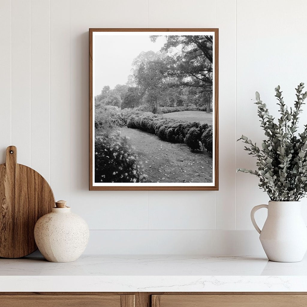 Prince George County Virginia Estate Photo 1800s