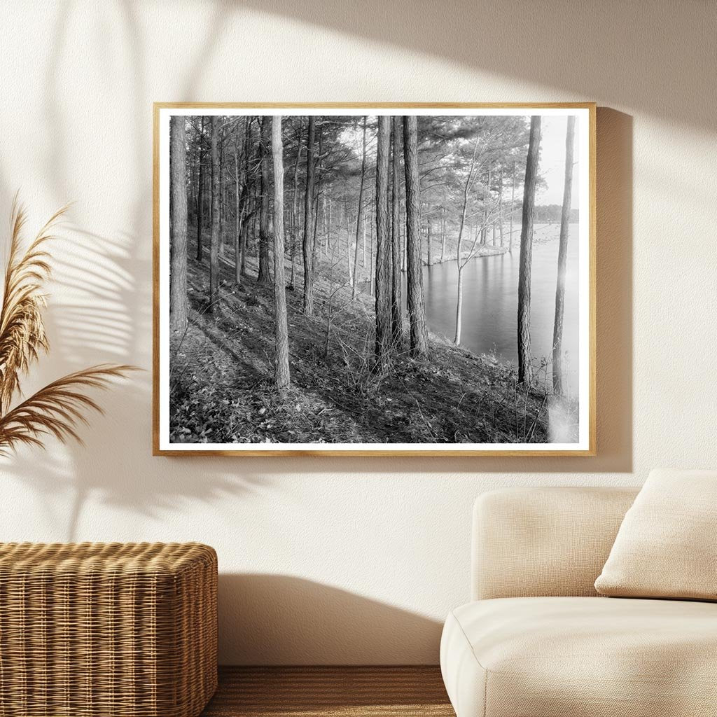 Vintage Landscape of Princess Anne County, Virginia, 20th Ce