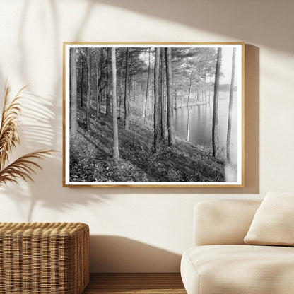 Vintage Landscape of Princess Anne County, Virginia, 20th Ce