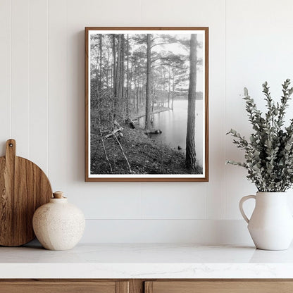 Vintage Landscape Photo, Princess Anne County, VA 1900s