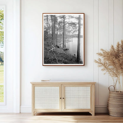 Vintage Landscape Photo, Princess Anne County, VA 1900s