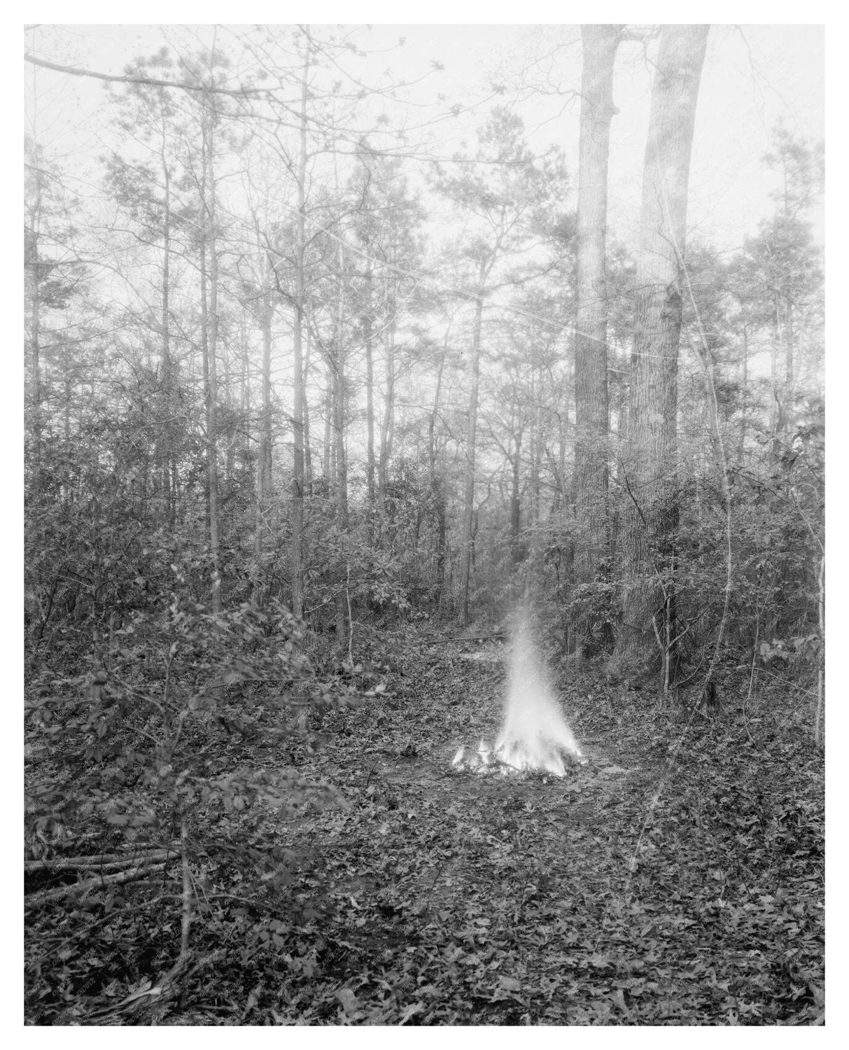 Early 1900s Architecture in Princess Anne County, VA