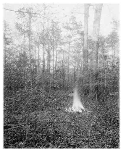 Early 1900s Architecture in Princess Anne County, VA
