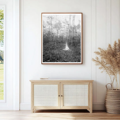 Early 1900s Architecture in Princess Anne County, VA