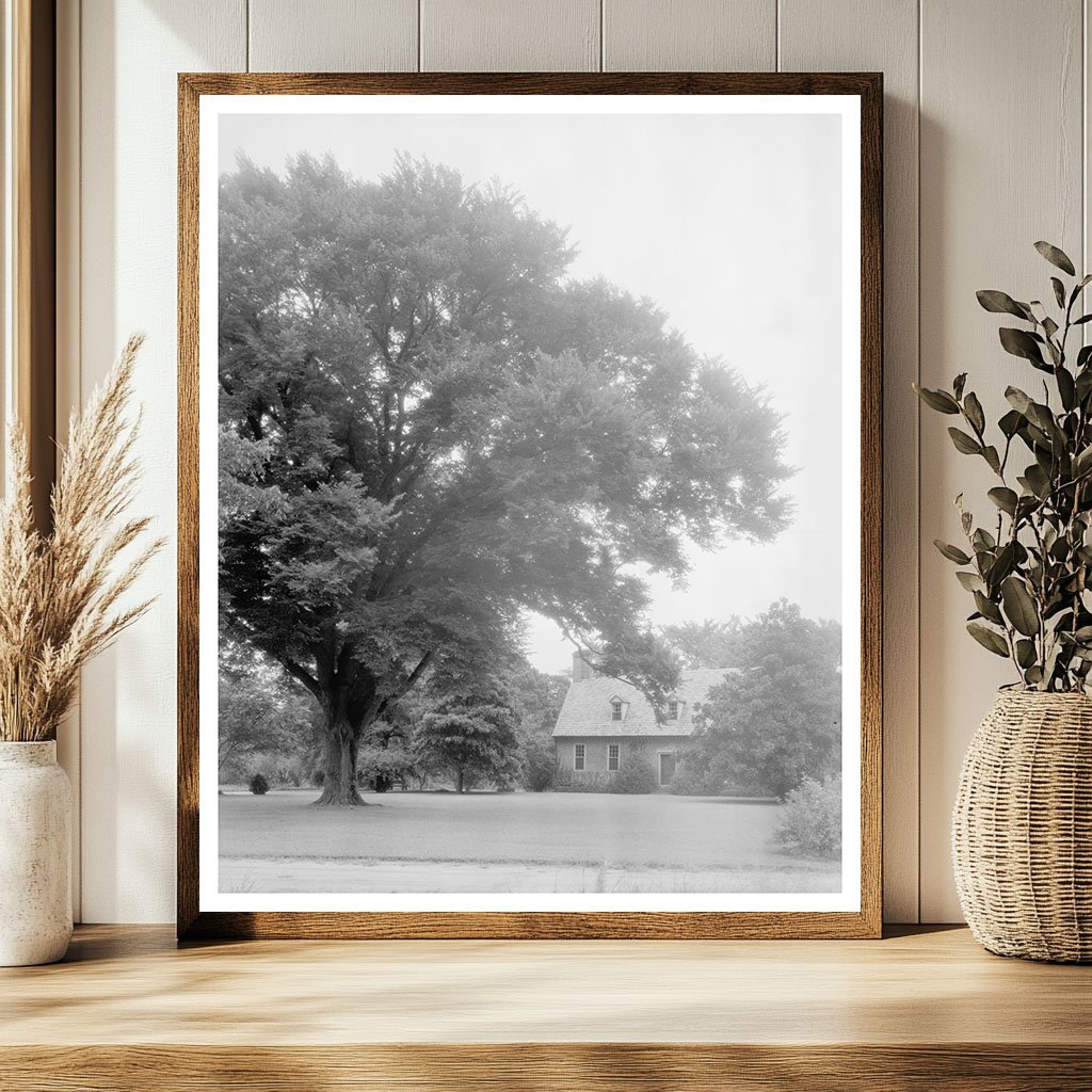 First Brick House in Norfolk, VA - Historic Photo 1634