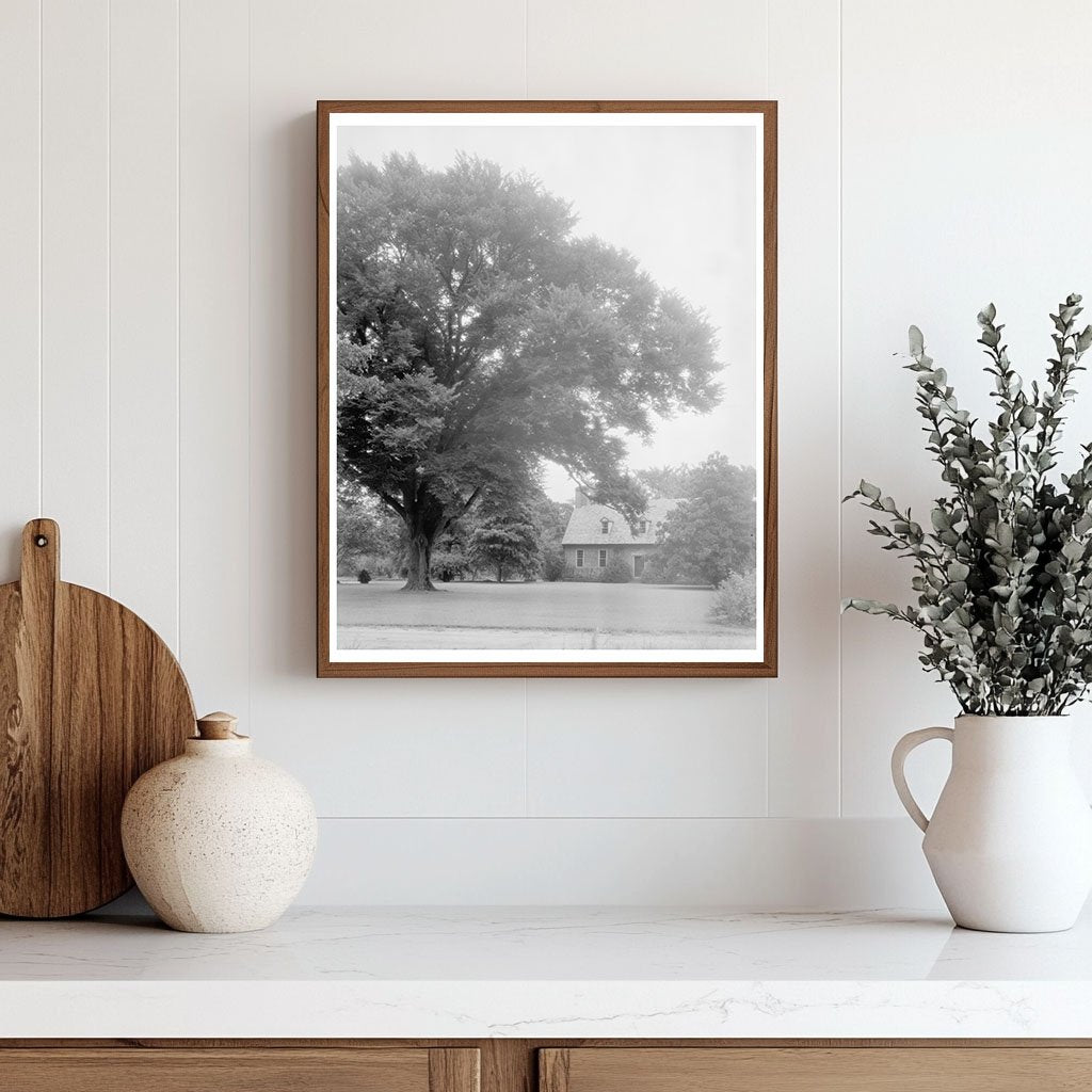 First Brick House in Norfolk, VA - Historic Photo 1634