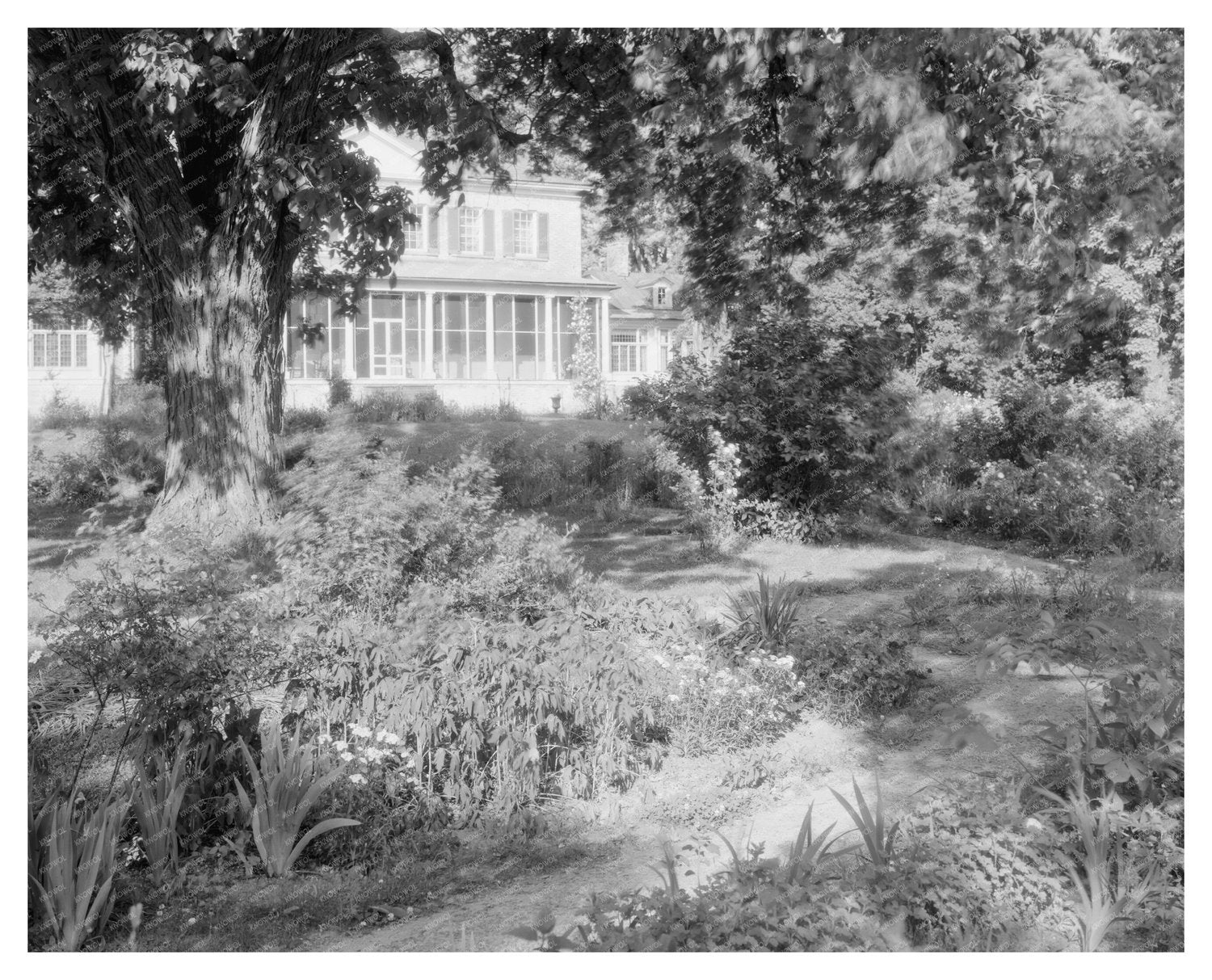 Vintage Estate Photo, Warsaw VA, 1730 Architecture