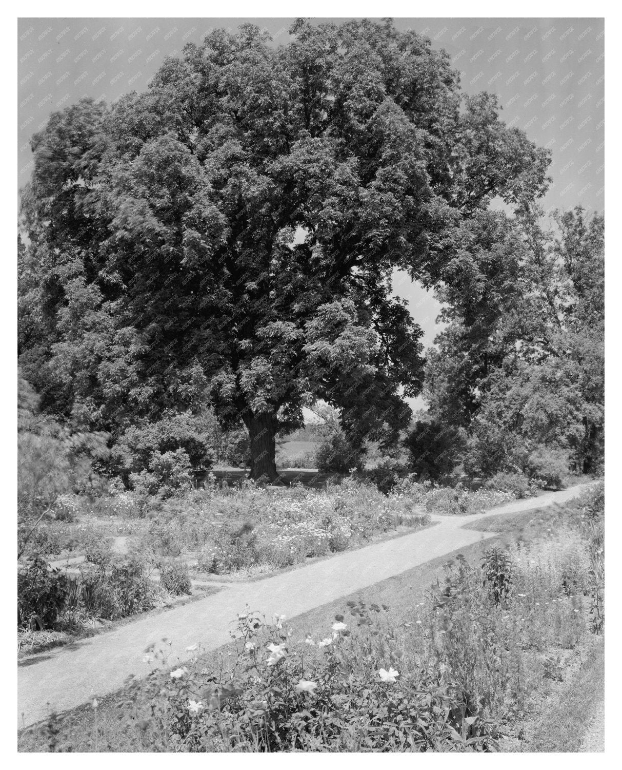Historical Building in Warsaw, VA - 1730 Vintage Photo