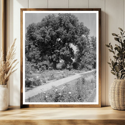 Historical Building in Warsaw, VA - 1730 Vintage Photo