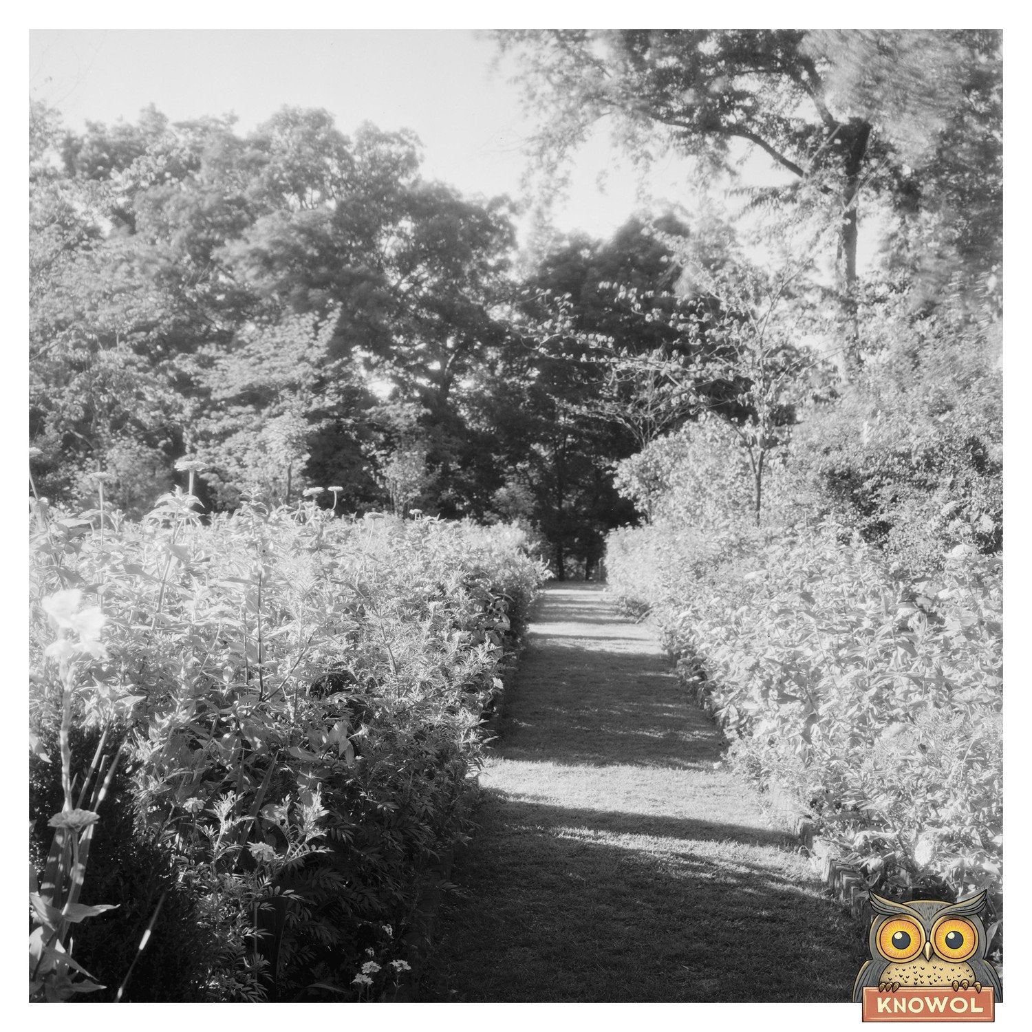 1939 Vintage Photo of Hollins Gardens, Roanoke VA