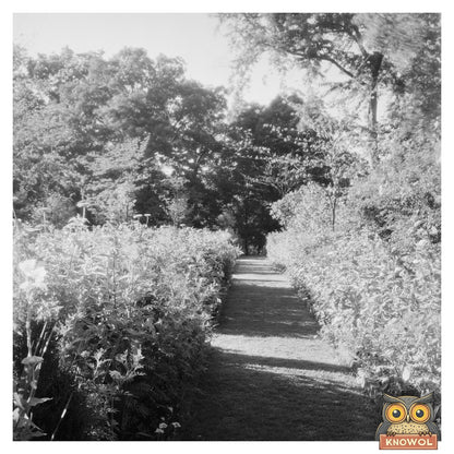 1939 Vintage Photo of Hollins Gardens, Roanoke VA