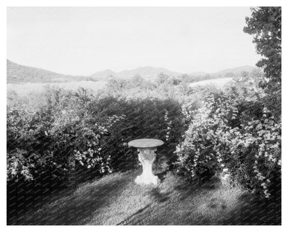 Hollins VA 1900s Vintage Garden Architecture Photo
