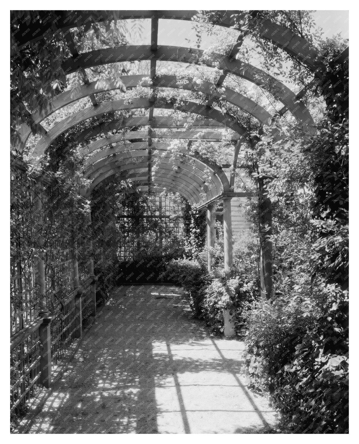 Nelson House, Yorktown VA, 1740: Colonial Heritage Image