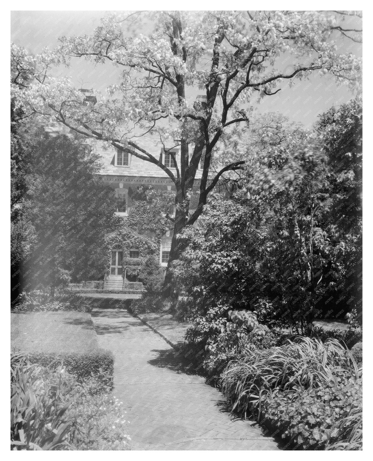 Nelson House History in Yorktown, Virginia, 1740-1741